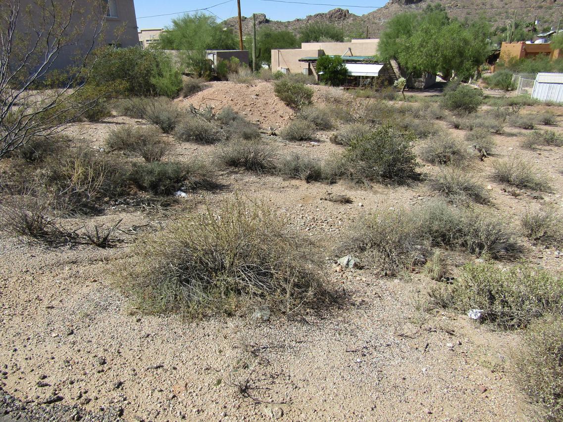 5636 S Estrella Rd. #87, Gold Canyon, AZ 85118