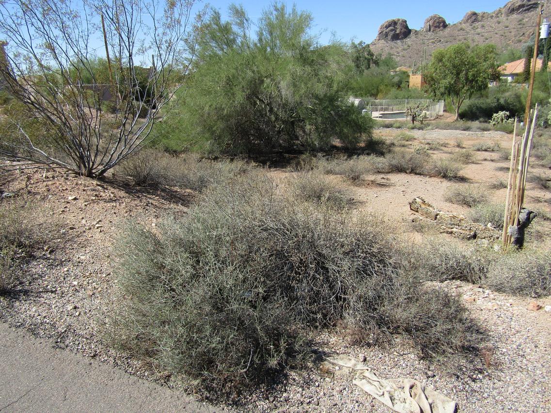 5618 S Estrella Rd. #88, Gold Canyon, AZ 85118