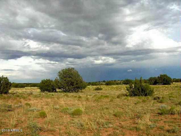 321 Chevelon Canyon Ranch Dr., Heber, AZ 85928