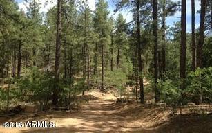 262 S Brady Rd. #7, Prescott, AZ 86305