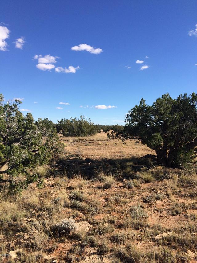 Lot 189 Ccr Unit 2 #189, Heber, AZ 85928