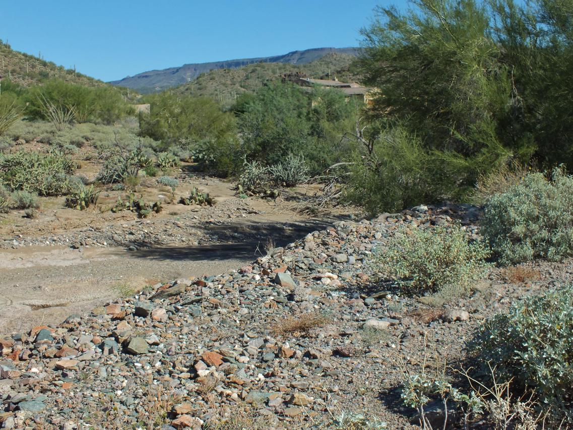 422XX N Spur Cross Rd. #-, Cave Creek, AZ 85331