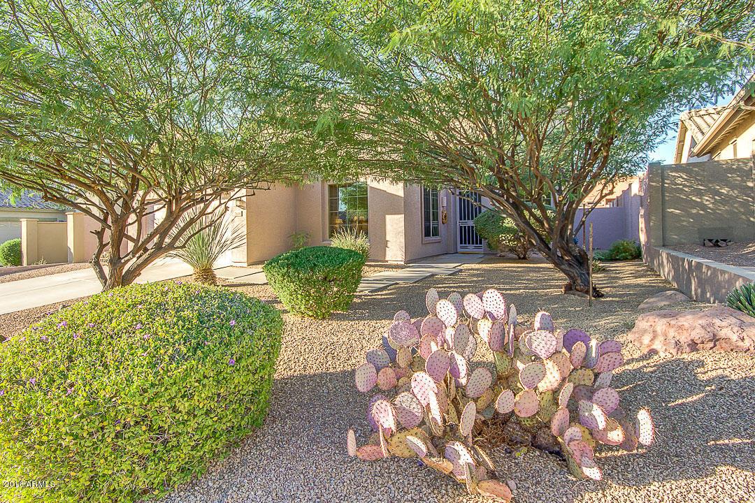 7616 E Elderberry Way, Gold Canyon, AZ 85118