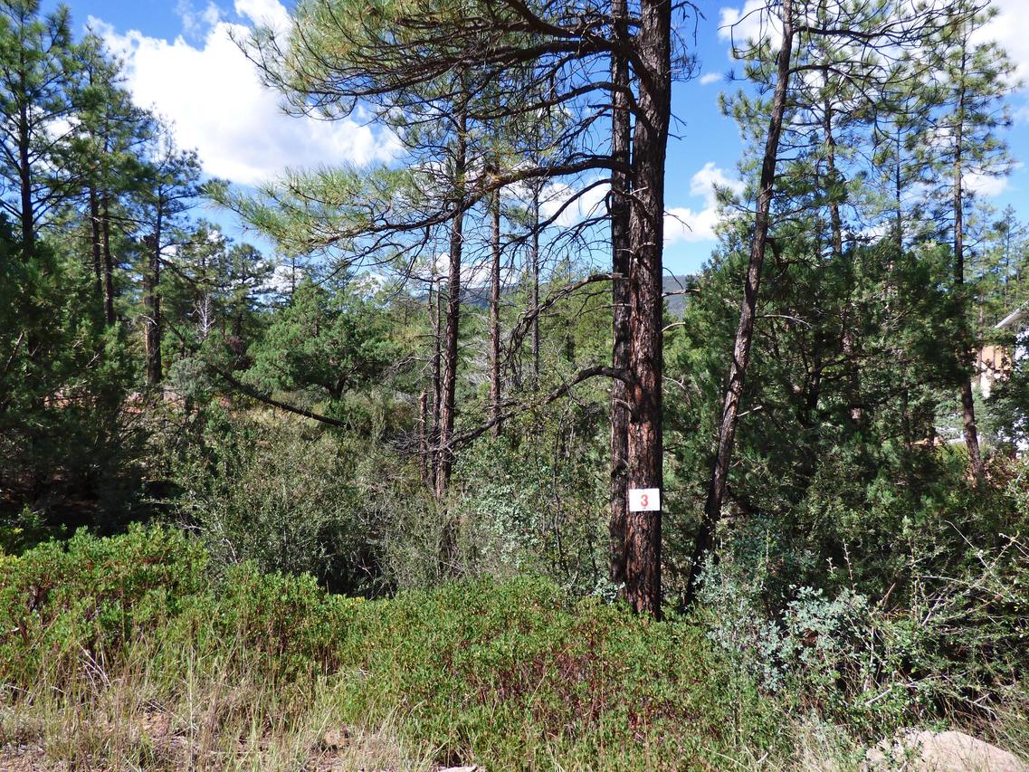 3 Whispering Pines Rd., Pine, AZ 85544
