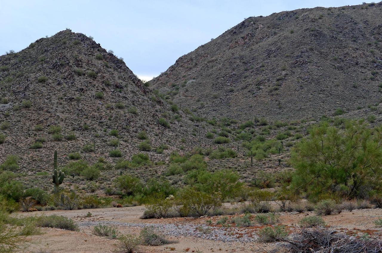 Chuckwalla Tr. #-, Queen Creek, AZ 85144