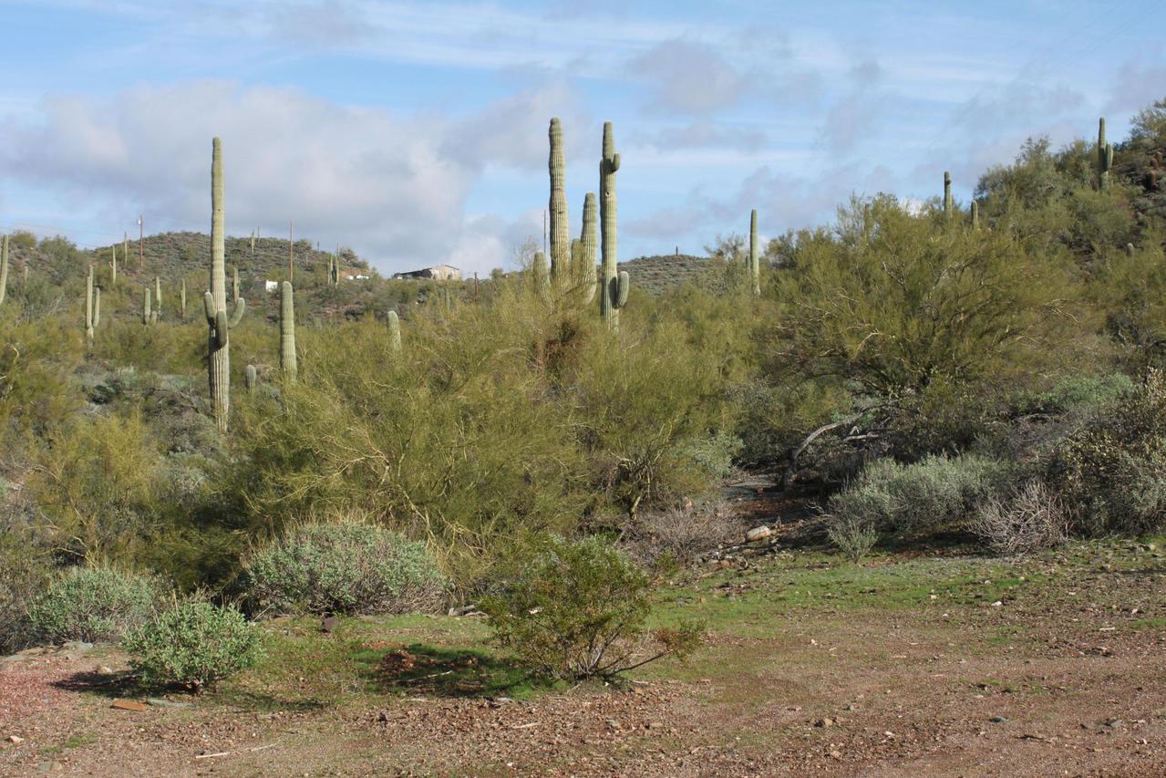 46245 N 37th Ave. #-, New River, AZ 85087