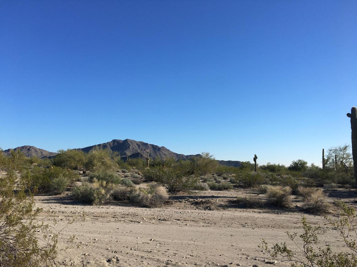 1221 N 234th Ave. #33, Buckeye, AZ 85396