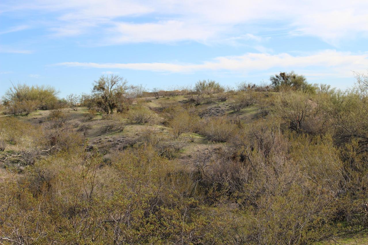 0000 W Cherokee Ln. #-, Wickenburg, AZ 85390