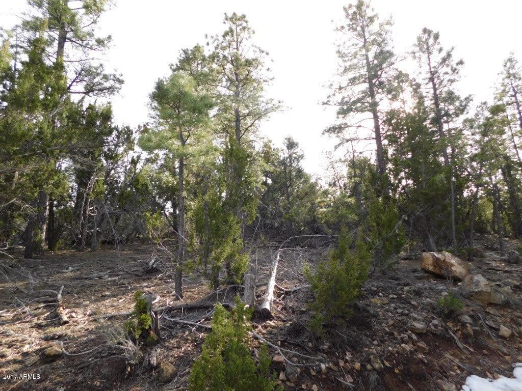 1761 Canyon Trail #-, Heber, AZ 85928