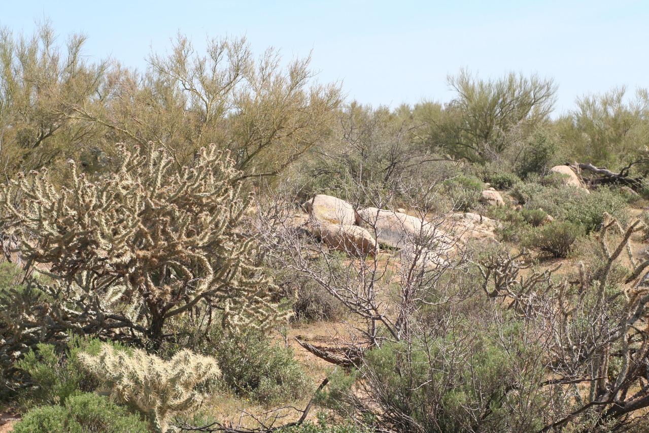 12 miles E Florence-kelvin Hwy. #67D, Florence, AZ 85132