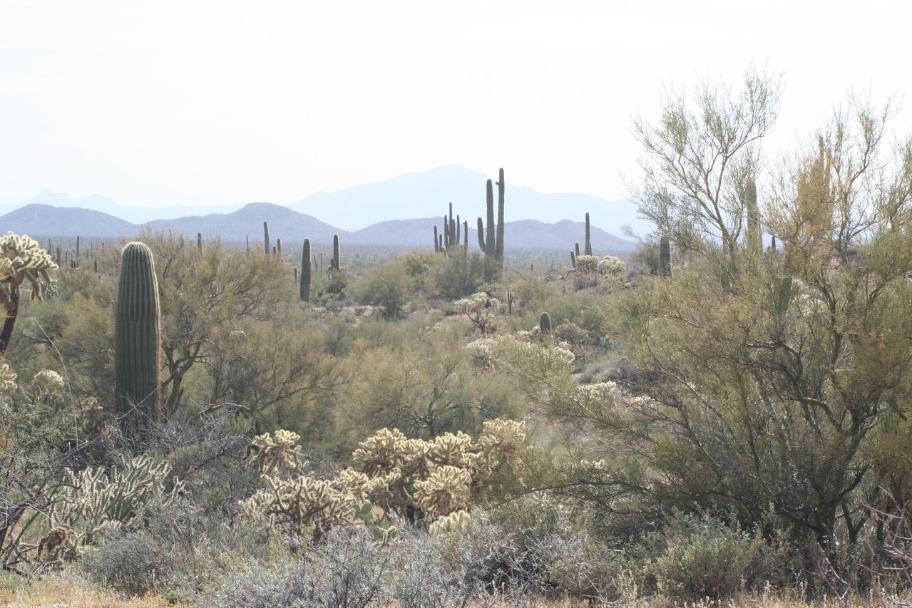 12 miles E Florence-kelvin Hwy. #67C, Florence, AZ 85132