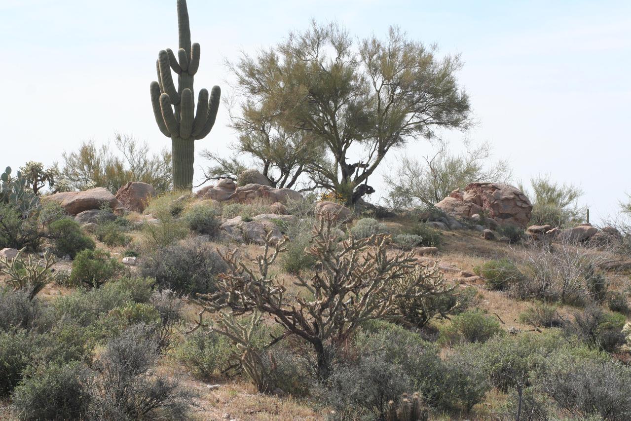 12 miles E Florence-kelvin Hwy. #67E, Florence, AZ 85132