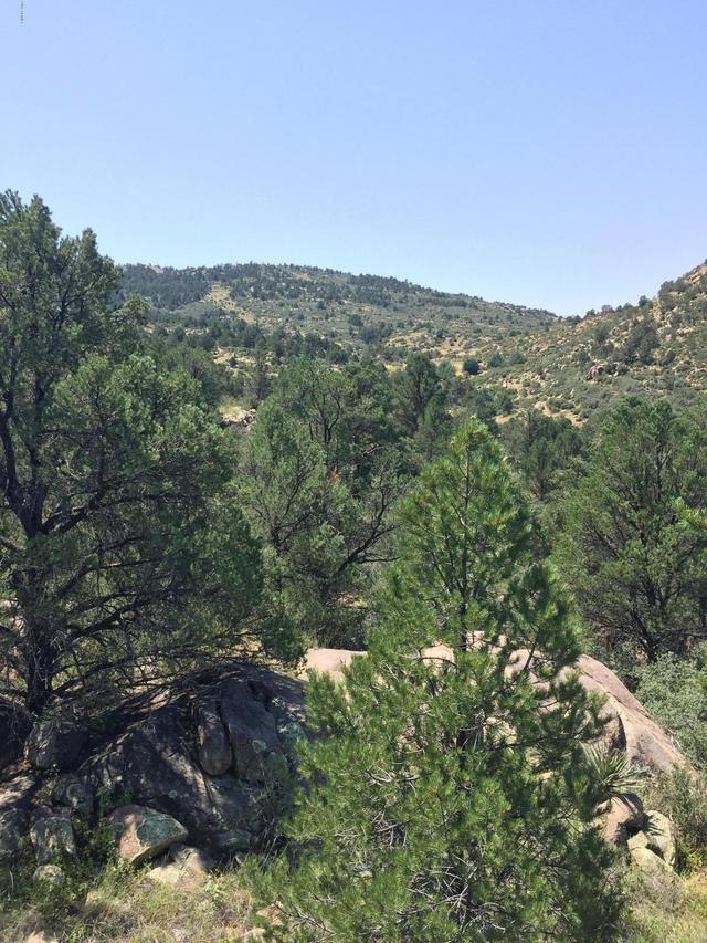 Off Backwoods Tr. #4, Peeples Valley, AZ 86332
