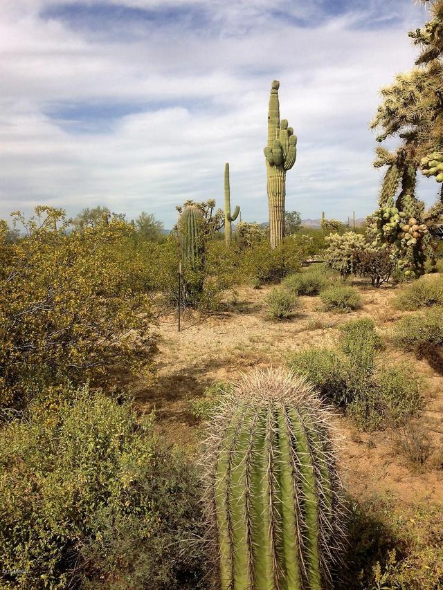 13669 N Hohokam Rd. #33, Florence, AZ 85132