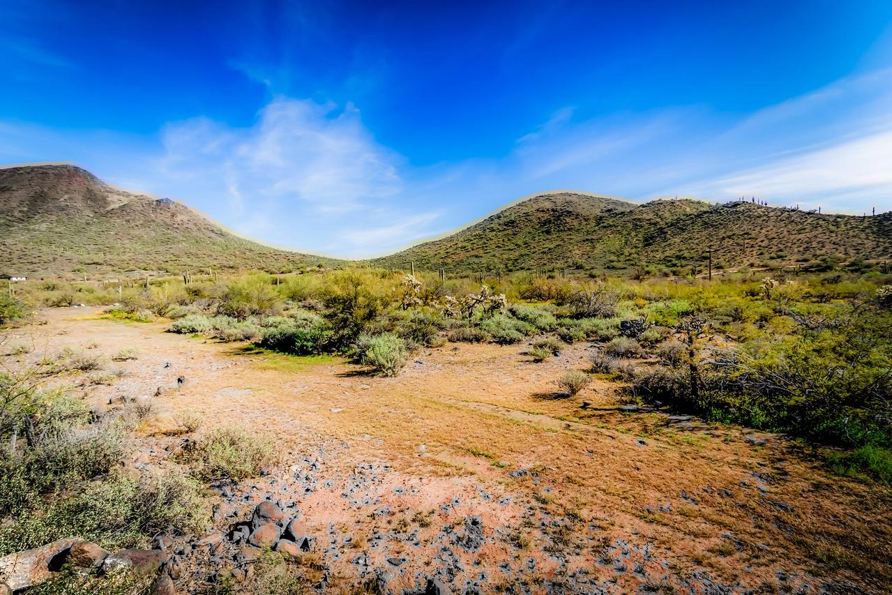 422X2 N 16th St. #3, Phoenix, AZ 85086