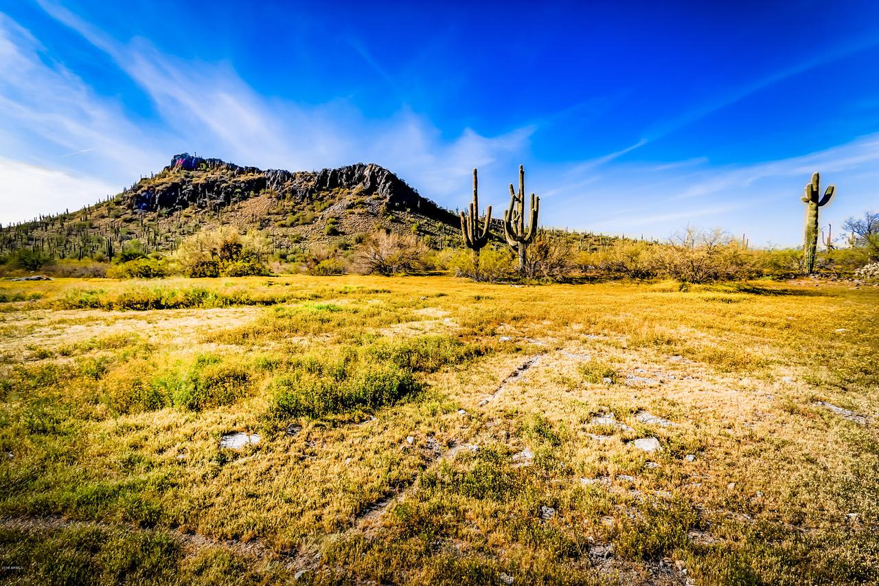 422XX N 16th St. #-, Phoenix, AZ 85086