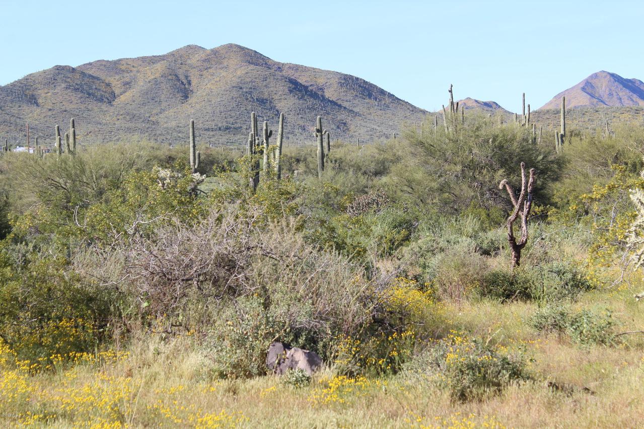 48XXX N 7th Ave. #-, New River, AZ 85087