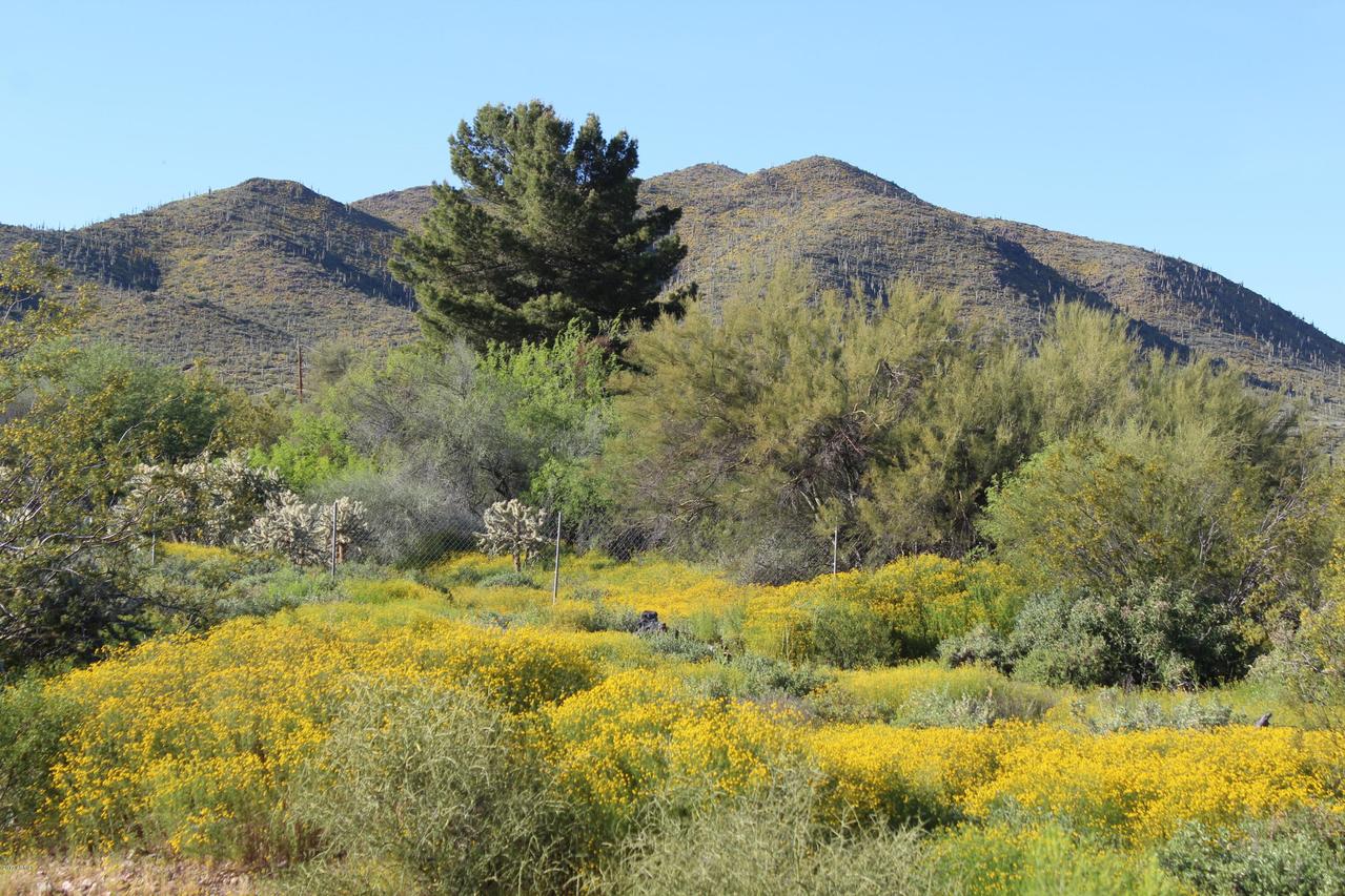 49614 N 7th Ave. #-, New River, AZ 85087
