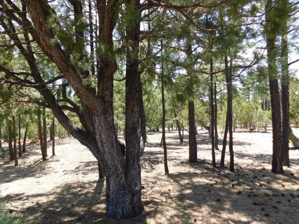 3436 Ponderosa Loop #124, Heber, AZ 85928