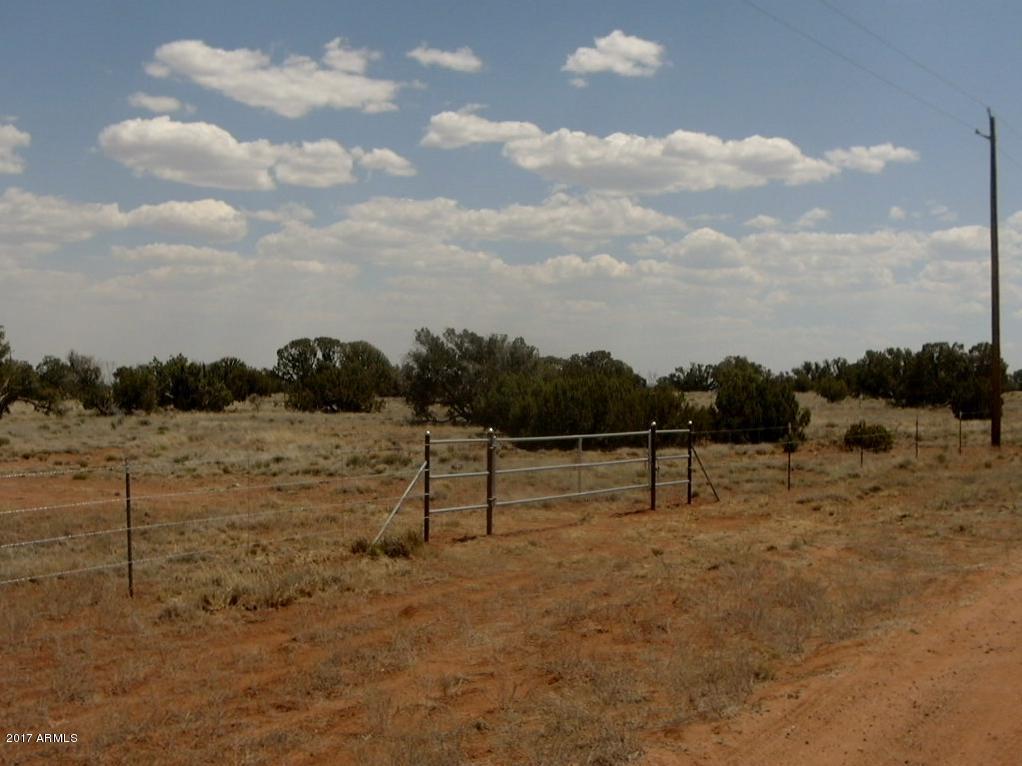 5329 Cedar Hills Rd. #009, Snowflake, AZ 85937