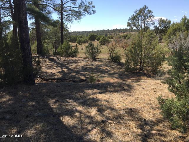 6801 Arrowhead Hill Dr. #-, Show Low, AZ 85901