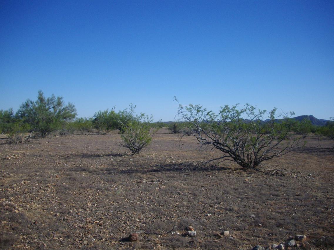 785 E Monte Vista Tr. #4, Wickenburg, AZ 85390