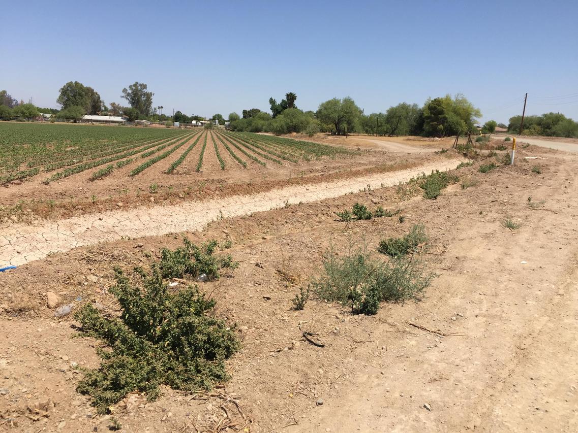 10402 S 47th Ave. #'-', Laveen, AZ 85339