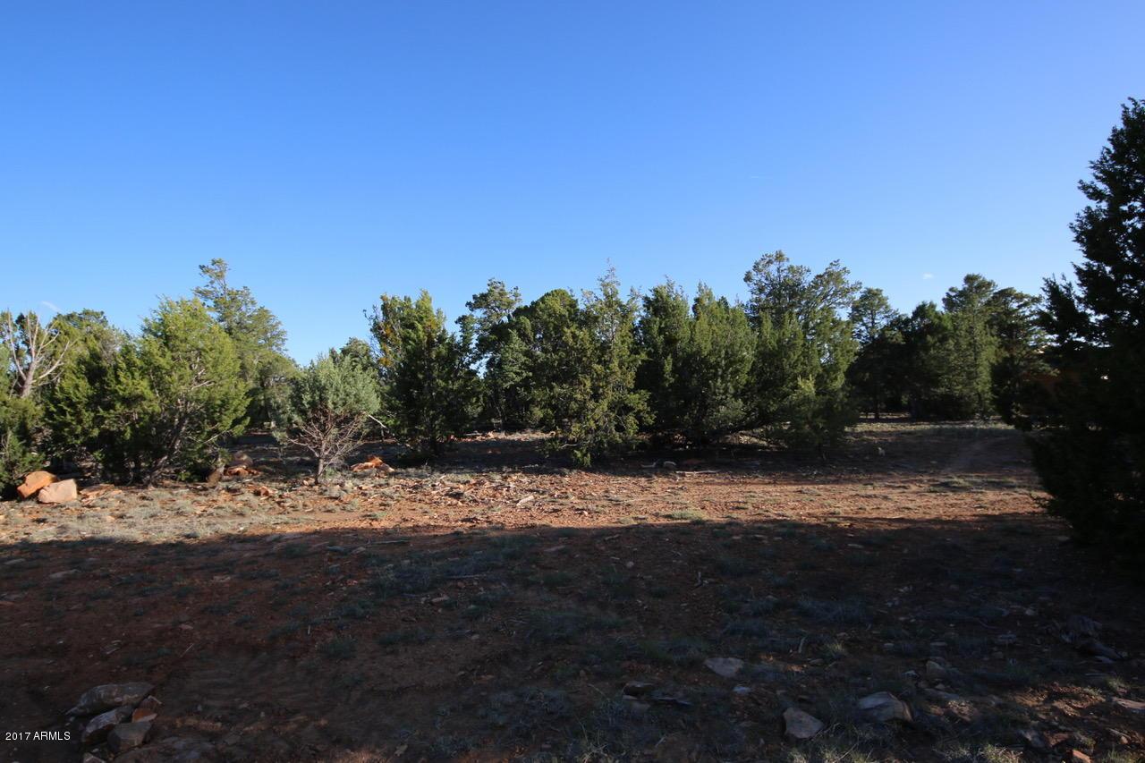 3332 Bear Heights Rd. #-, Heber, AZ 85928