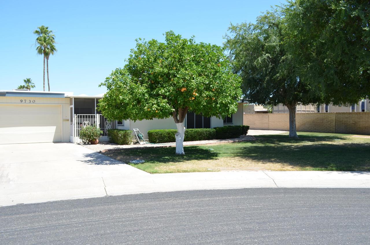 9730 W Royal Ridge Dr., Sun City, AZ 85351
