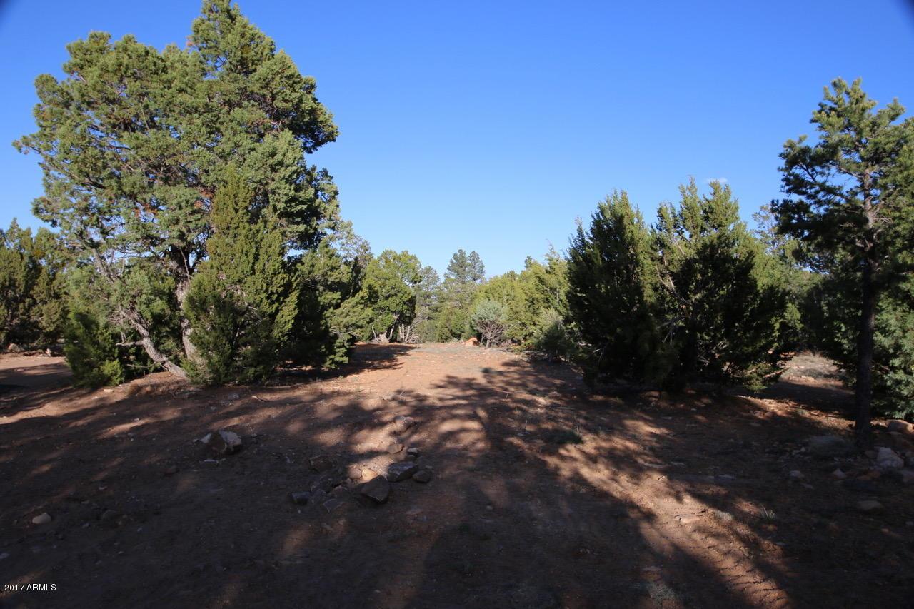 3346 Bear Heights Rd. #-, Heber, AZ 85928