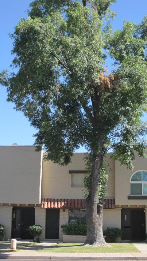 6929 E Osborn Rd. #C, Scottsdale, AZ 85251