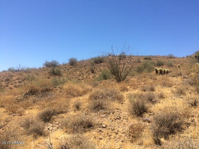 33420 N 7th St. #-, Phoenix, AZ 85085