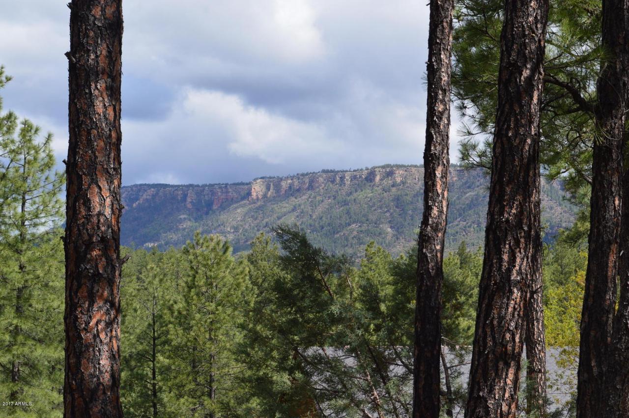 Lot 41 Hunter Creek #41, Christopher Creek, AZ 85541