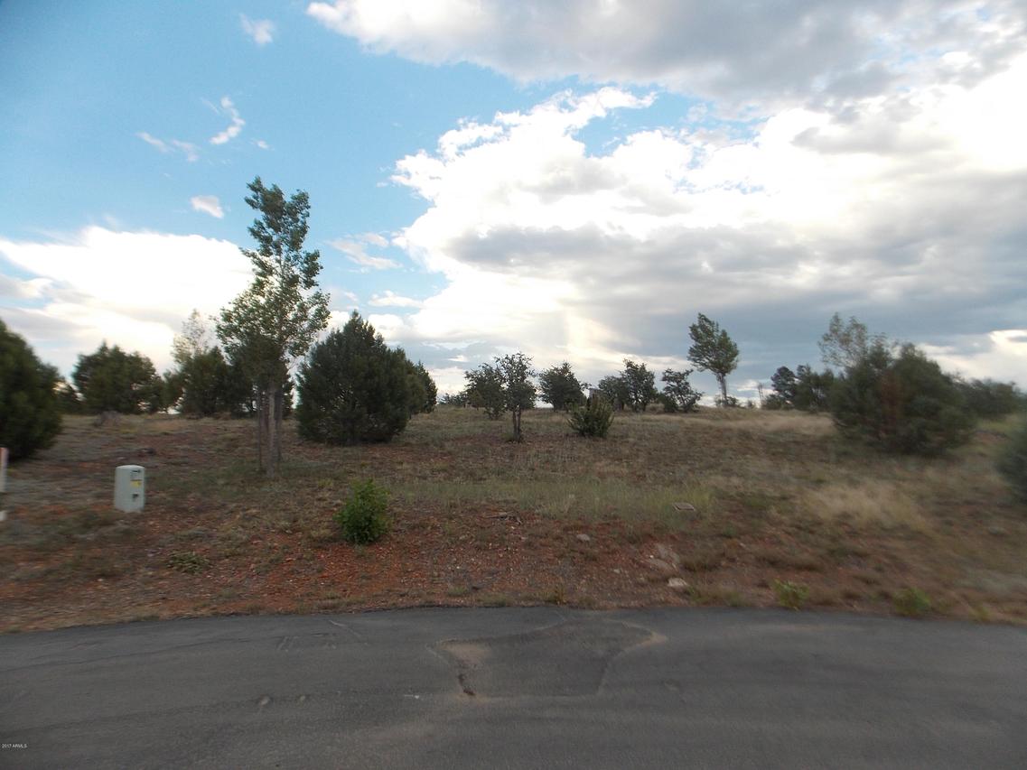 2258 Big Bear Cir. #8, Overgaard, AZ 85933