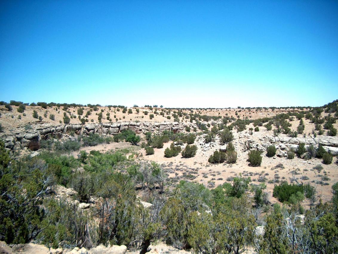 Sec 5 T14n,r17e, Se4 Nw4 Cr #006, Heber, AZ 85928