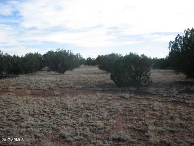 Sec 7 T14n, R16e: N2,nw4,sw4 - Cr #010C, Heber, AZ 85928