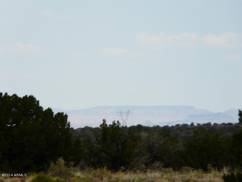 Lot 266 Ccr Unit 3 #266, Heber, AZ 85928