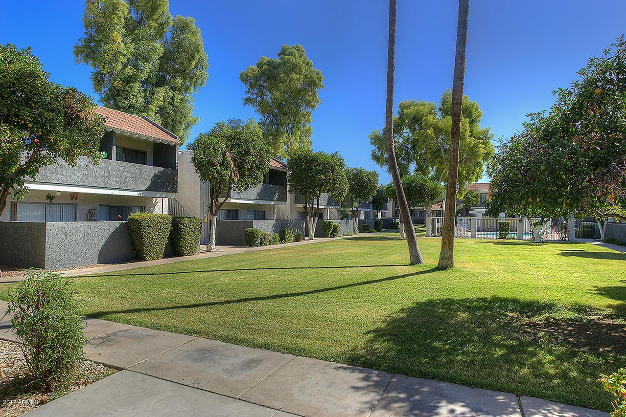 7141 N 19th Ave., Phoenix, AZ 85021
