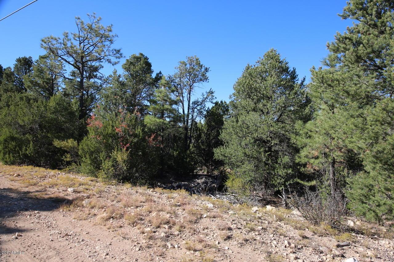 3320 Bear Heights #-, Heber, AZ 85928