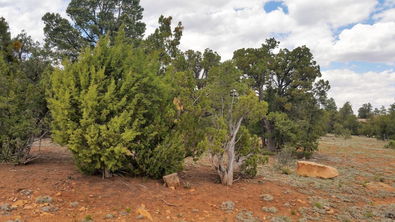 1528 Georgann Cir. #68, Heber, AZ 85928