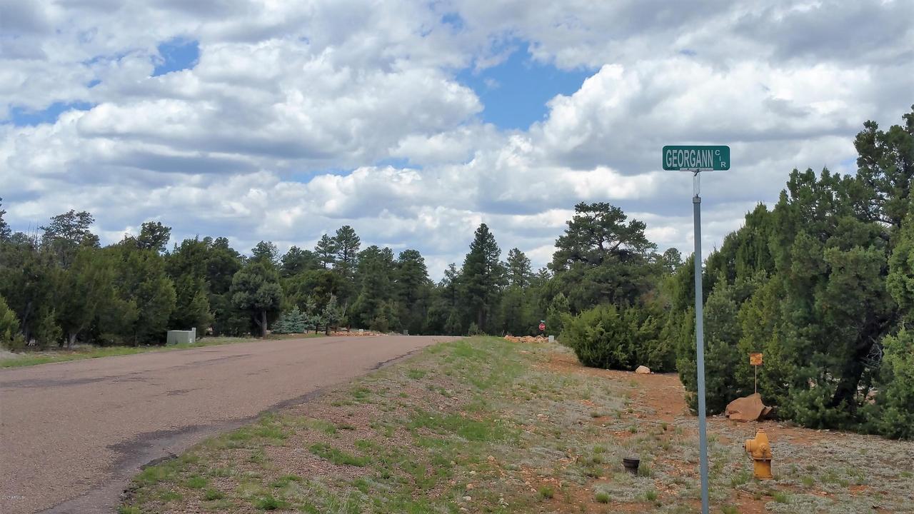 1532 Georgann Cir. #69, Heber, AZ 85928