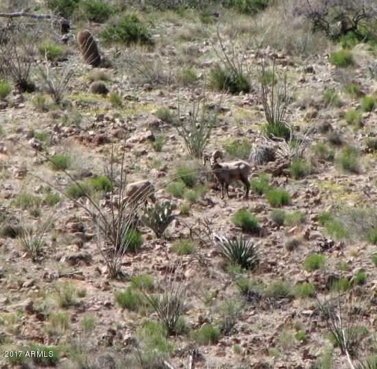 TBD W Bootjack Ln. #-, San Simon, AZ 85632