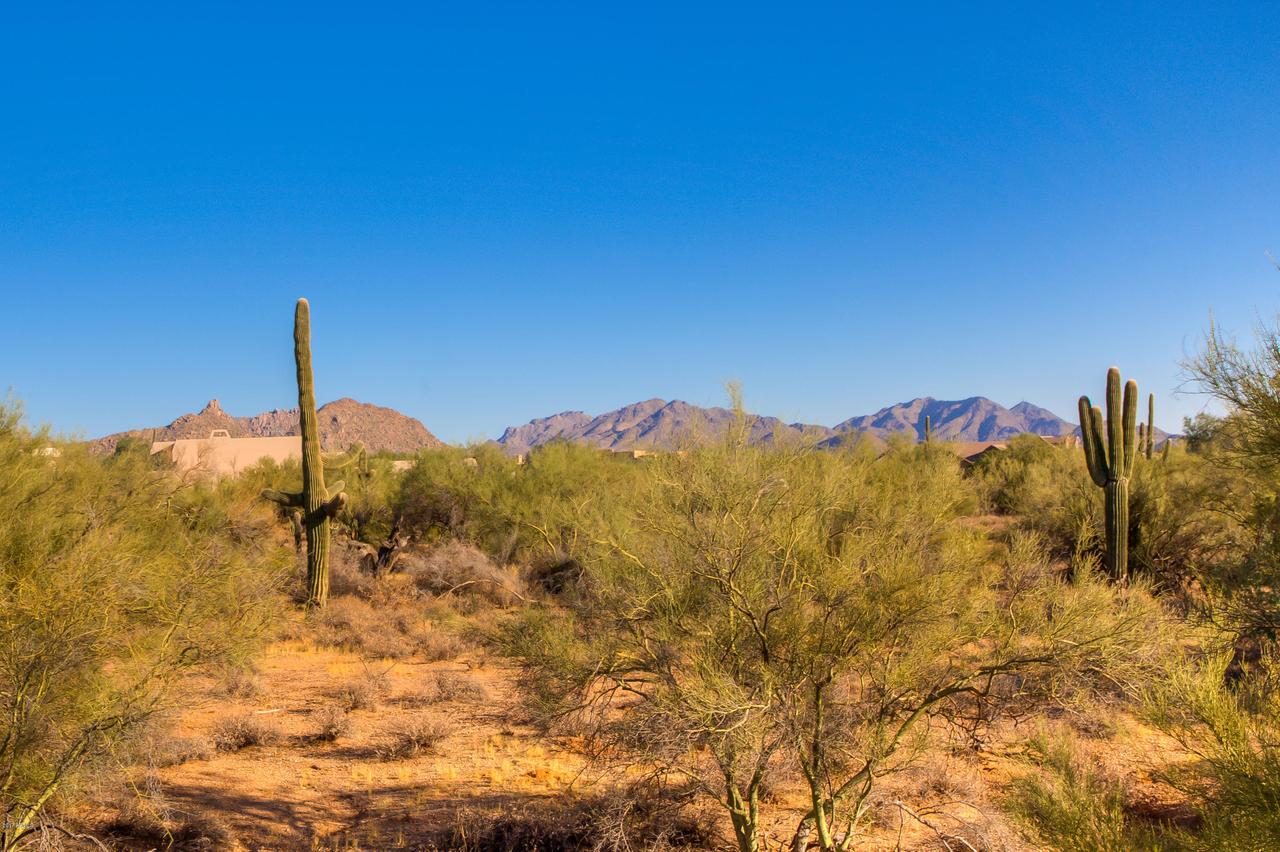 E Dale Ln. #-, Scottsdale, AZ 85266