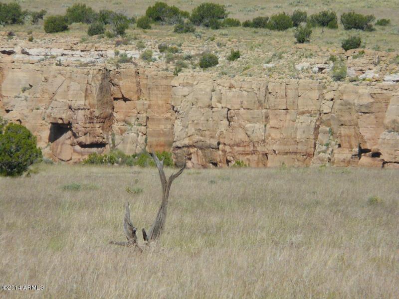 CCR Unit 4 Lot 675 #675, Heber, AZ 85928