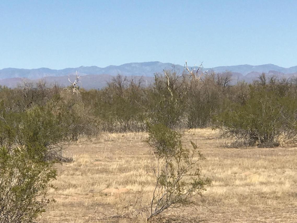 22XXX N 219th Ave. #-, Surprise, AZ 85374