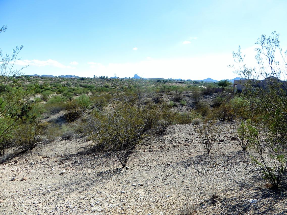 2285 W High Ridge Rd. #4, Wickenburg, AZ 85390