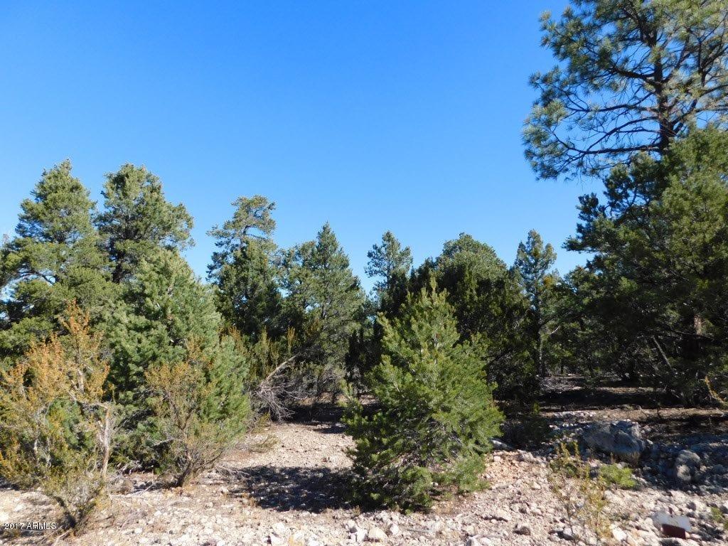 3405 Hide Away Cir. #6, Heber, AZ 85928