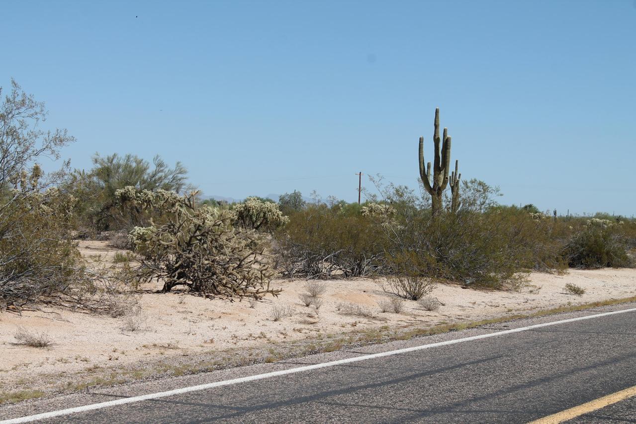 E Cactus Forest Road Rd. #-, Florence, AZ 85132