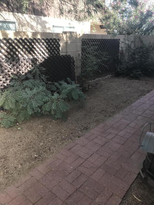 2024 S Playa, Mesa, AZ 85202