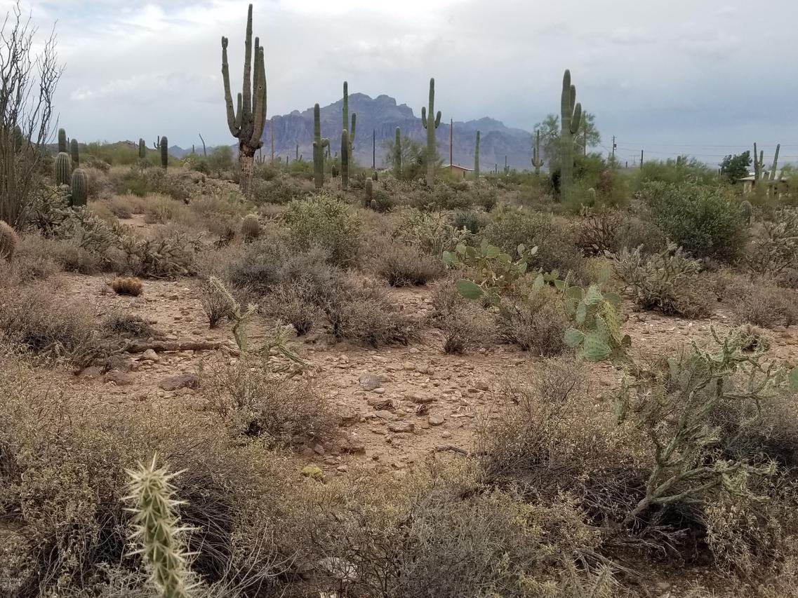 5483 N Delaware Dr. #-, Apache Junction, AZ 85120